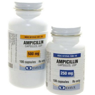 ampicilline